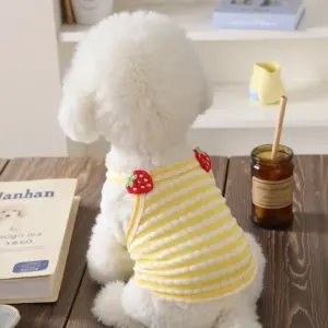 colete para cães pequenos proteção solar