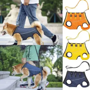 cinta de suporte para cão idoso