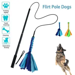 vara de flertar para cães