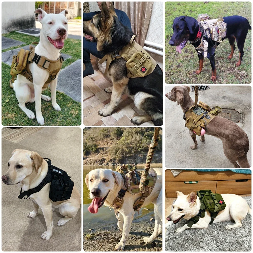 Coleira Tática Militar para Cães Grandes com Arnês Ajustável - Imagem 6