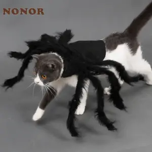 fantasia de aranha para cães e gatos