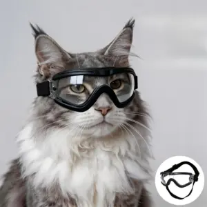 óculos de sol para cães pequenos e gatos