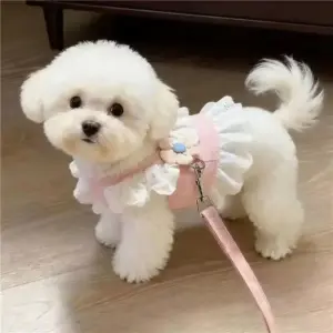 coleira e guia para pets de poliéster