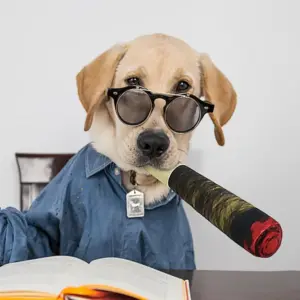 brinquedo de pelúcia para cães com apito