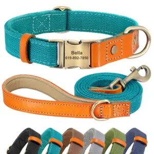 coleira para cães de nylon com placa personalizável