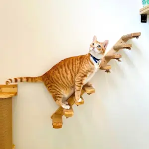 escada de escalada para gatos de parede