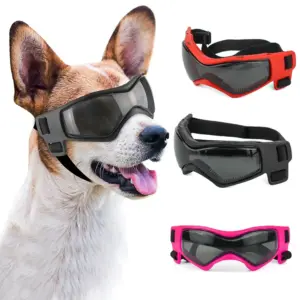 óculos de sol para cães pequenos proteção uv