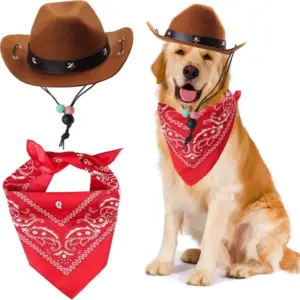 kit chapéu cowboy e bandana para cães e gatos