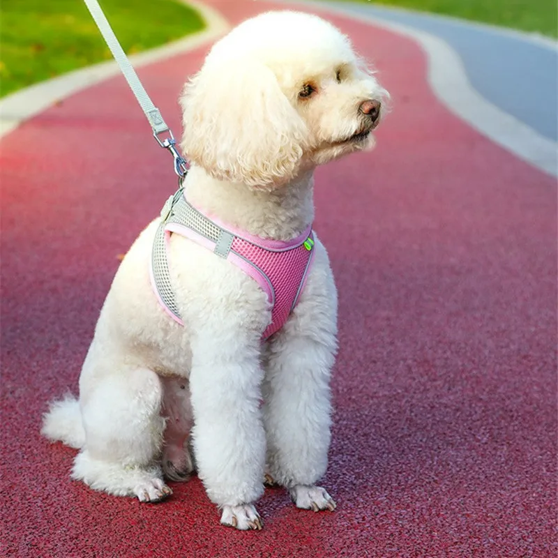 Colete Peitoral para Cães e Gatos Ajustável para Passeio - Imagem 4