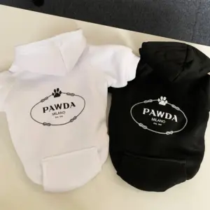 roupa de outono inverno para cães