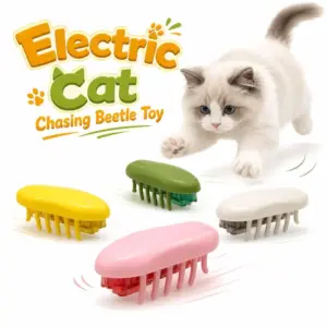 brinquedo elétrico para gatos besouro